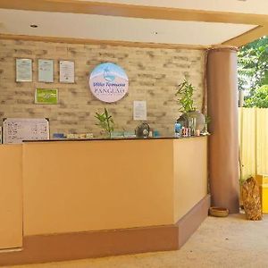 Villa Tomasa Beach Resort Panglao